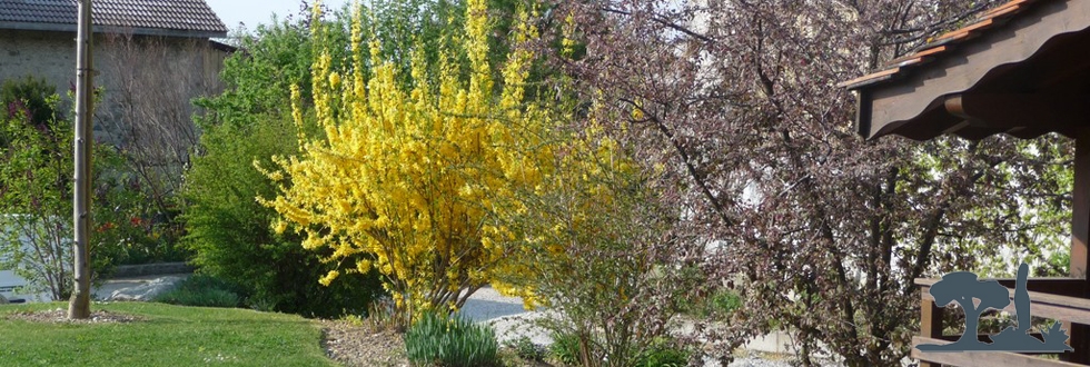 Paysagiste et aménagement de jardin à Thonon et Annemasse: Bassin